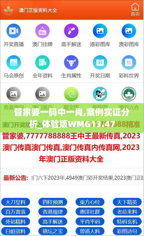 管家婆一码中一肖,案例实证分析_体验版WMG13.47