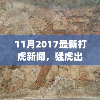 最新打虎新闻回顾，猛虎出击，成就感的诞生与从变化中学习