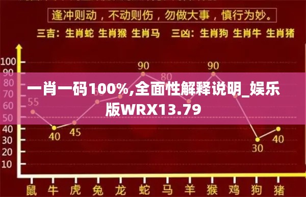 一肖一码100%,全面性解释说明_娱乐版WRX13.79