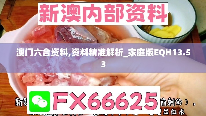 澳门六合资料,资料精准解析_家庭版EQH13.53