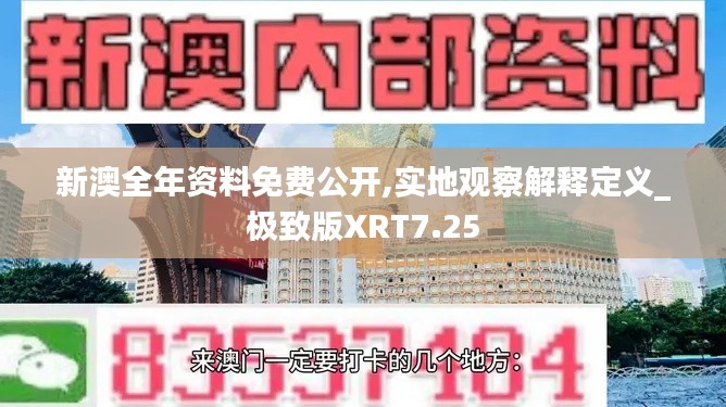 新澳全年资料免费公开,实地观察解释定义_极致版XRT7.25