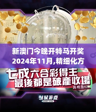 新澳门今晚开特马开奖2024年11月,精细化方案决策_远程版FHY7.70