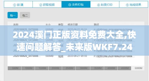 2024溪门正版资料免费大全,快速问题解答_未来版WKF7.24