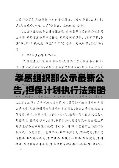 孝感组织部公示最新公告,担保计划执行法策略_专属版DIA7.41