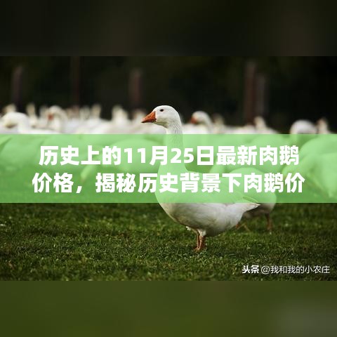 揭秘历史背景下肉鹅价格的波动，以最新市场为例分析肉鹅价格趋势（历史肉鹅价格回顾）