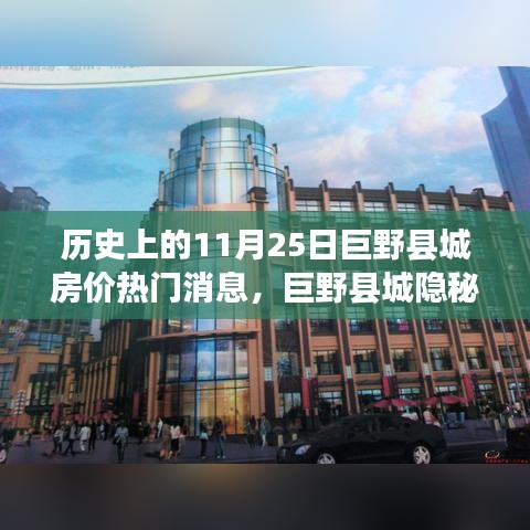 揭秘巨野县城房价传奇，隐秘小巷风云变幻与特色小店的独特魅力（历史上的11月25日巨野县城房价热门消息）