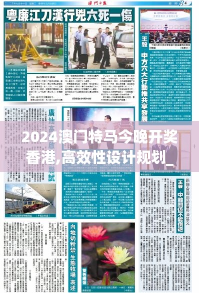 2024澳门特马今晚开奖香港,高效性设计规划_生态版ZFU7.19