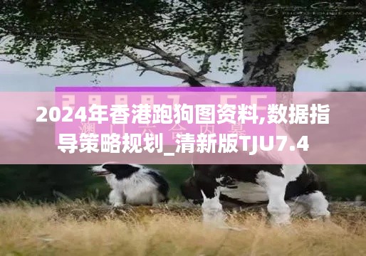 2024年香港跑狗图资料,数据指导策略规划_清新版TJU7.4