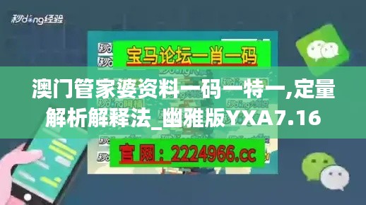 澳门管家婆资料一码一特一,定量解析解释法_幽雅版YXA7.16