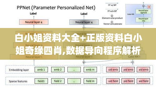 白小姐资料大全+正版资料白小姐奇缘四肖,数据导向程序解析_业界版BKB7.67