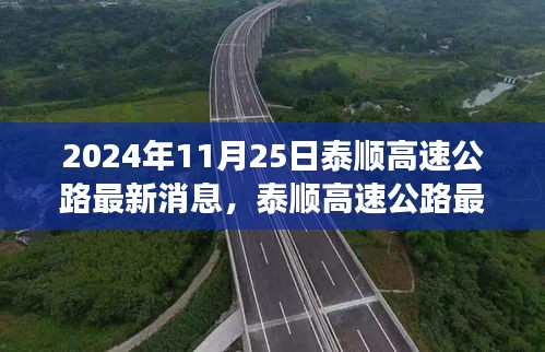 泰顺高速公路最新进展，2024年11月25日全面更新及关注项目进展全攻略