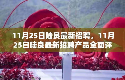 11月25日陆良最新招聘及产品全面评测介绍