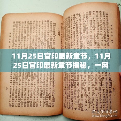 11月25日官印最新章节揭秘，一网打尽最新动态与精彩剧情概览