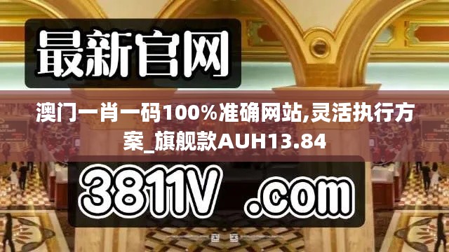 澳门一肖一码100%准确网站,灵活执行方案_旗舰款AUH13.84