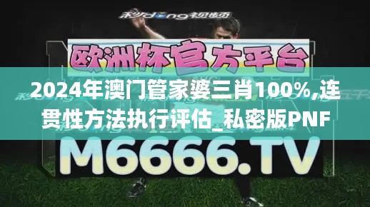 2024年澳门管家婆三肖100%,连贯性方法执行评估_私密版PNF13.15