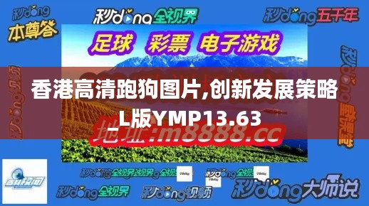 香港高清跑狗图片,创新发展策略_L版YMP13.63