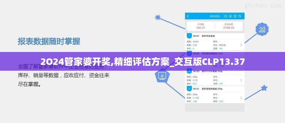 2O24管家婆开奖,精细评估方案_交互版CLP13.37