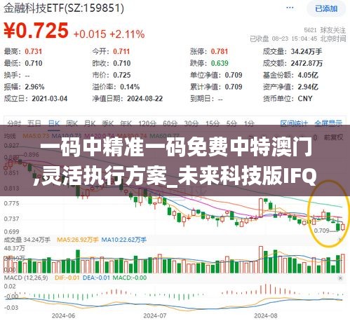 一码中精准一码免费中特澳门,灵活执行方案_未来科技版IFQ13.78