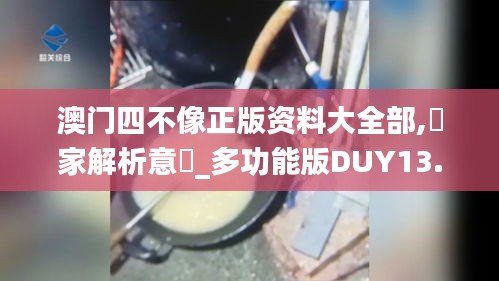 澳门四不像正版资料大全部,專家解析意見_多功能版DUY13.77