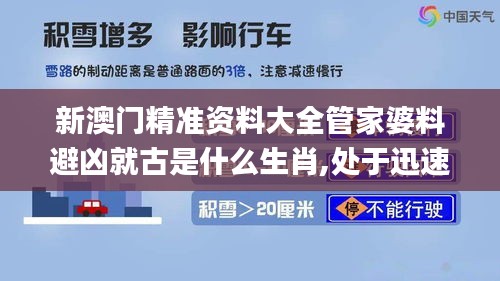 新澳门精准资料大全管家婆料避凶就古是什么生肖,处于迅速响应执行_经典版LET13.25