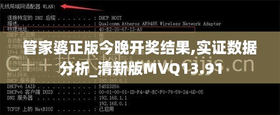 管家婆正版今晚开奖结果,实证数据分析_清新版MVQ13.91