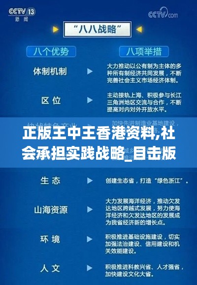 正版王中王香港资料,社会承担实践战略_目击版UJD13.45