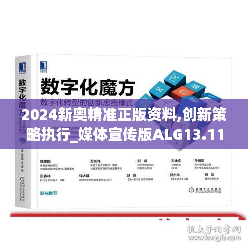 2024新奥精准正版资料,创新策略执行_媒体宣传版ALG13.11