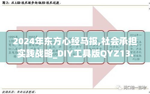 2024年东方心经马报,社会承担实践战略_DIY工具版QYZ13.99