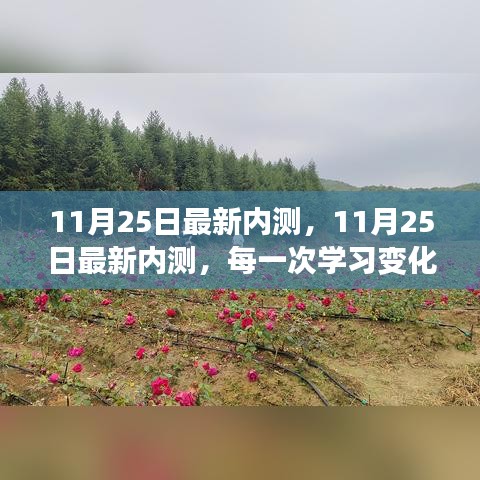 11月25日最新内测，学习变化中的自信与成就感飞跃