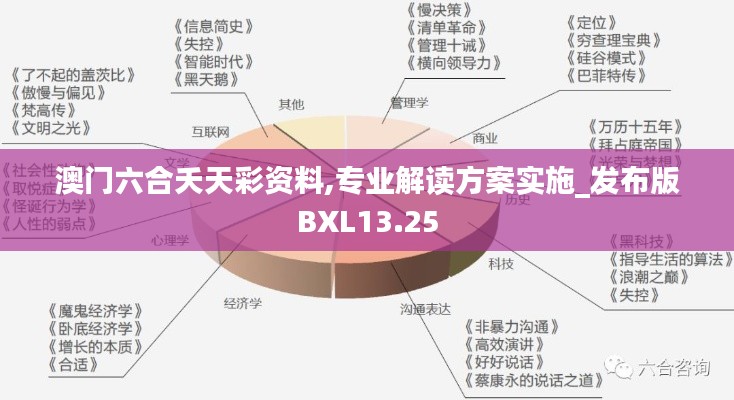 澳门六合夭天彩资料,专业解读方案实施_发布版BXL13.25