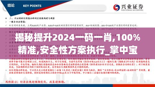 揭秘提升2024一码一肖,100%精准,安全性方案执行_掌中宝BXT13.46