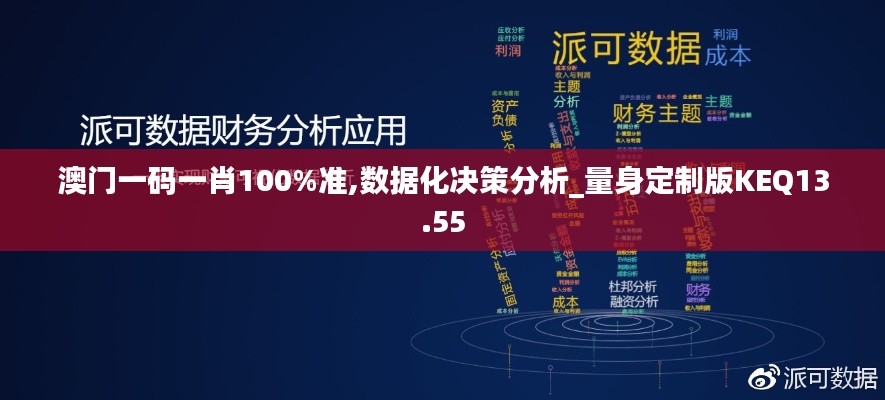 澳门一码一肖100%准,数据化决策分析_量身定制版KEQ13.55