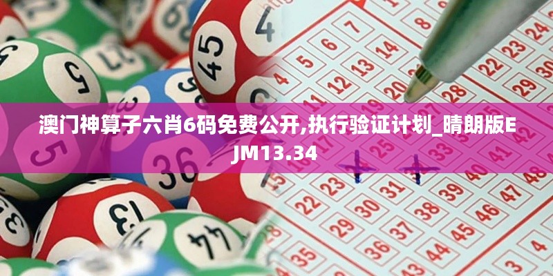 澳门神算子六肖6码免费公开,执行验证计划_晴朗版EJM13.34