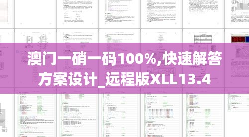 澳门一硝一码100%,快速解答方案设计_远程版XLL13.4