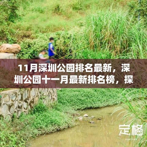 深圳公园十一月最新排名榜，探寻城市绿意盎然之地的最新排名榜单