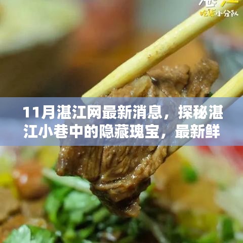 探秘湛江小巷隐藏瑰宝，最新特色小店独家报道（11月湛江网最新消息）