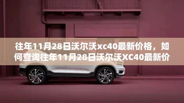 『往年11月28日沃尔沃XC40最新价格详解，查询指南及初学者用户手册』