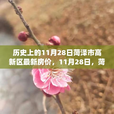 菏泽高新区房价揭秘，绿色之旅背后的自然秘境与历史变迁