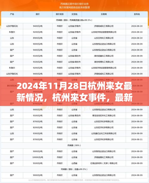 杭州来女事件最新进展与深远影响观察（2024年11月报告）