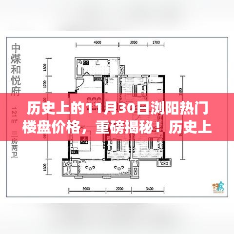 揭秘！历史上的11月30日浏阳热门楼盘价格走势与今日揭秘重磅曝光！