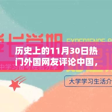 历史上的11月30日，外国网友热议中国之某观点观察