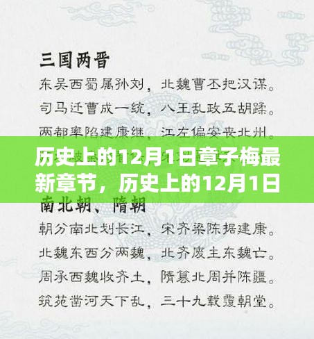 揭秘历史上的章子梅新篇章，探寻十二月一日的秘密