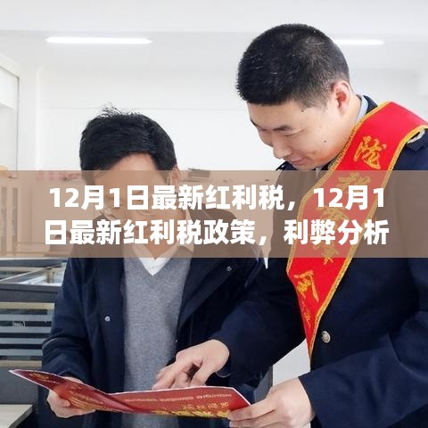 12月1日最新红利税政策解析，利弊分析与个人立场观点