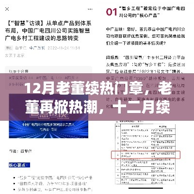 老董再掀热潮，十二月热门章深度解析