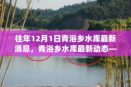 青浴乡水库建设进展深度解读，最新动态与科学视角观察报告