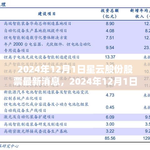 星云股份最新动态与行业趋势展望，2024年12月1日股票消息及前景分析