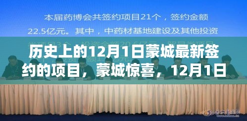 蒙城惊喜，揭秘12月1日新签约项目隐藏小巷特色小店探秘之旅