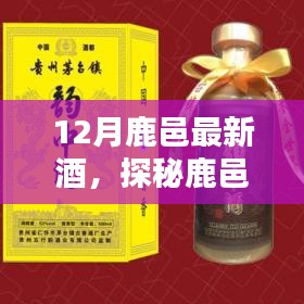 探秘鹿邑酒韵馆，十二月最新佳酿品鉴之旅