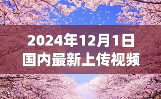 探秘草樱小店，美食之旅开启，小巷深处的独特风味视频草樱分享（独家报道）