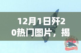 揭秘，歼-20战机尖端风采热门图片展（12月1日）